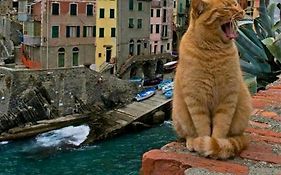 Stella Di Rio 5 Terre Riomaggiore