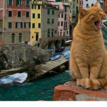 Stella Di Rio 5 Terre Riomaggiore Extérieur photo